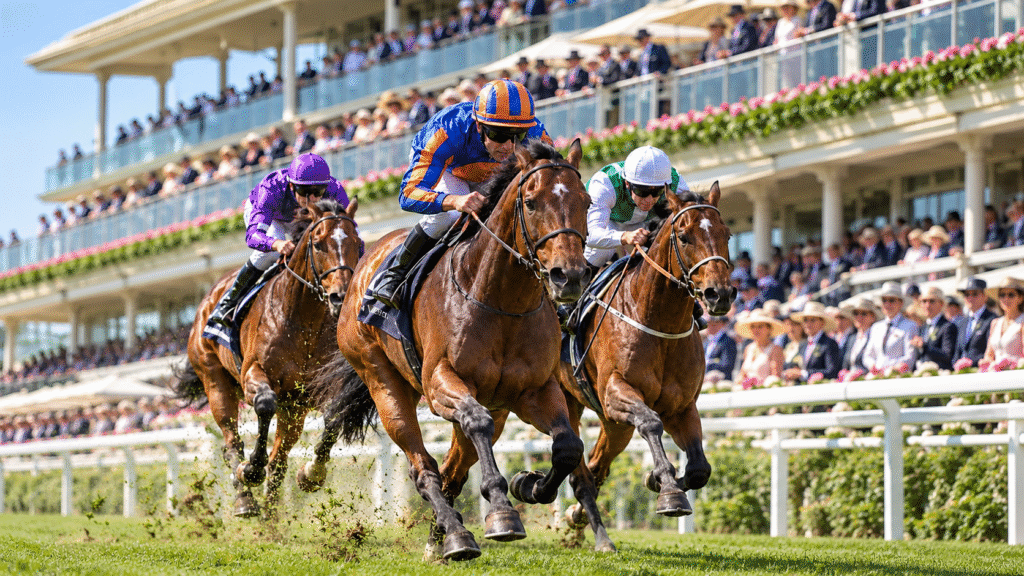 The Selective Breeding of Horse Racing